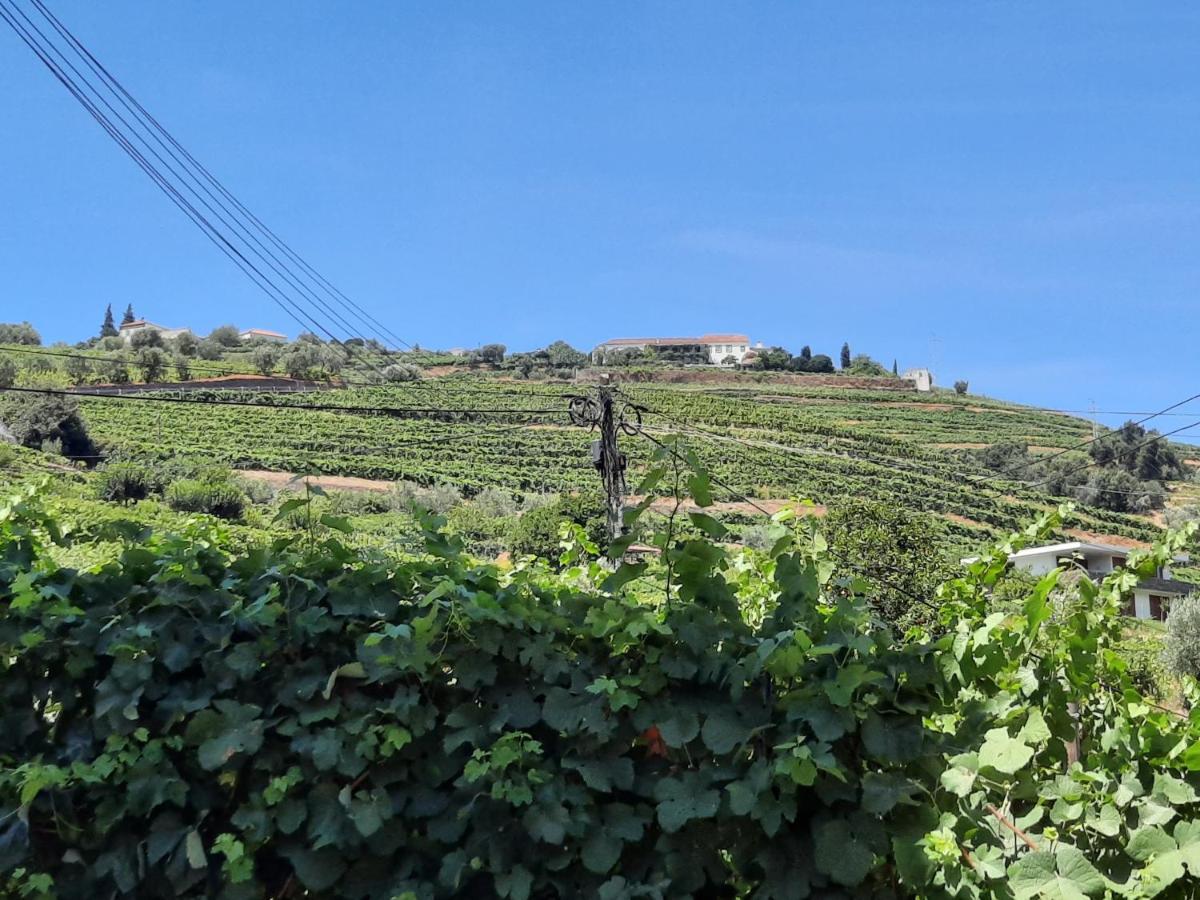 Casa Da Ruela No Rodo Daire Peso da Régua Dış mekan fotoğraf